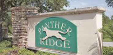 Panther Ridge